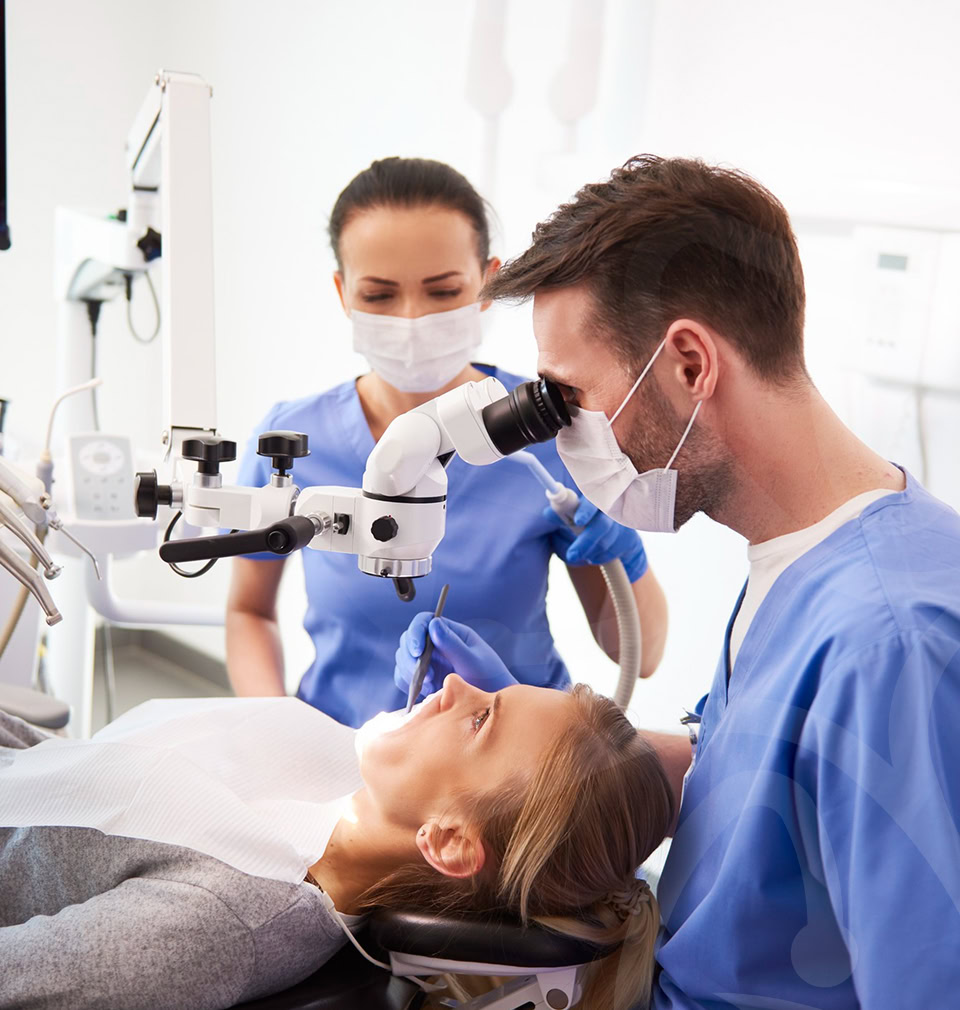 the dentists member examine their patient